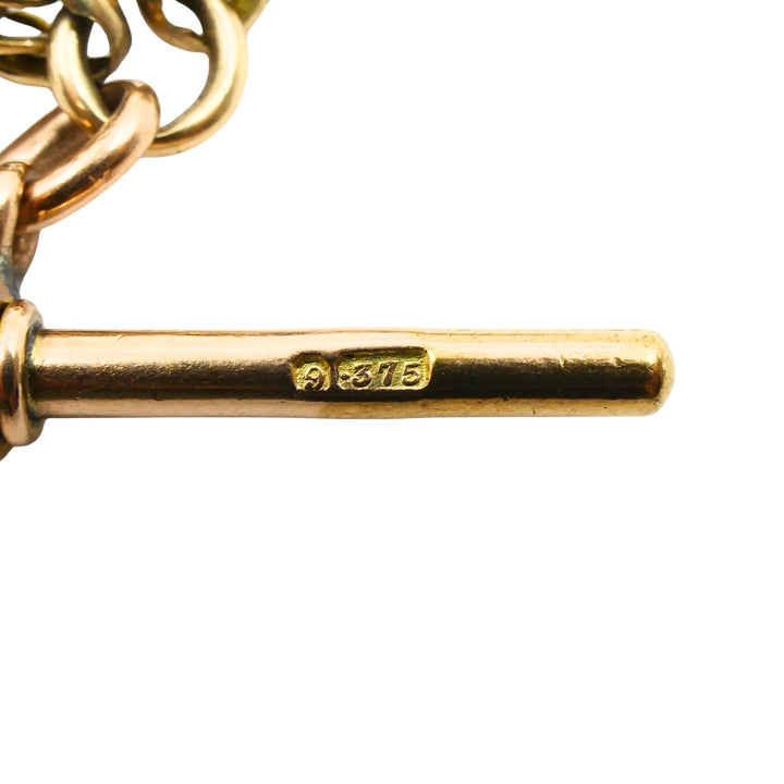 Antique 9k Gold Albert Chain Necklace Bloodstone Agate Pendant