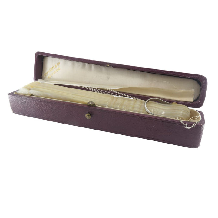 Tiffany & Co. Antique Carved Mother of Pearl Handheld Fan with Case