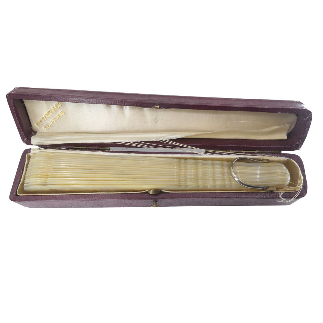 Tiffany & Co. Antique Carved Mother of Pearl Handheld Fan with Case
